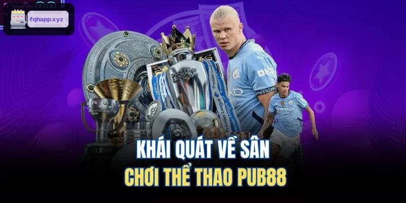 Khái quát về sân chơi thể thao WIN79